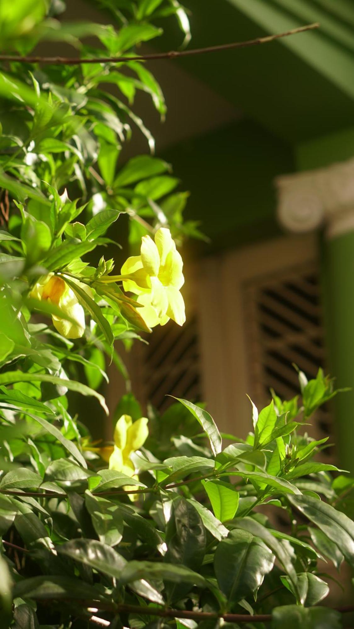 Poa Eco Hostel Porto Alegre Eksteriør bilde
