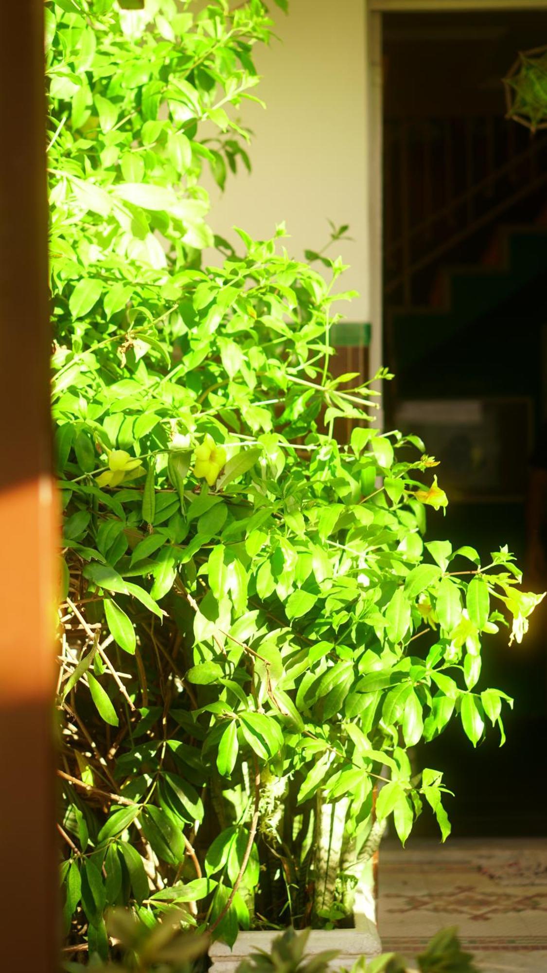 Poa Eco Hostel Porto Alegre Eksteriør bilde